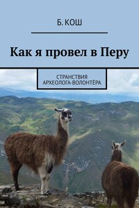 Как я провел в Перу. Странствия археолога-волонтёра
