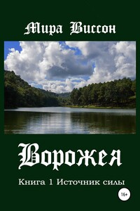 Ворожея. Книга 1. Источник силы
