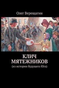 Клич мятежников. Из истории будущего Юга