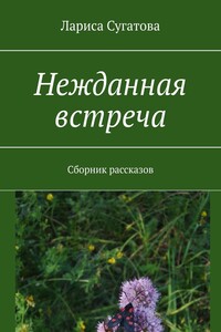 Нежданная встреча. Сборник рассказов